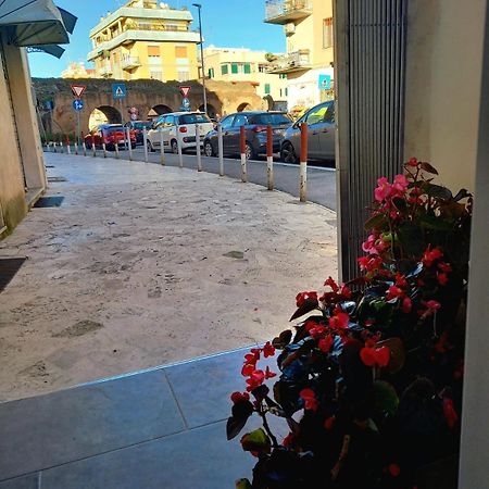 Casa Delle Begonie Apartment โรม ภายนอก รูปภาพ